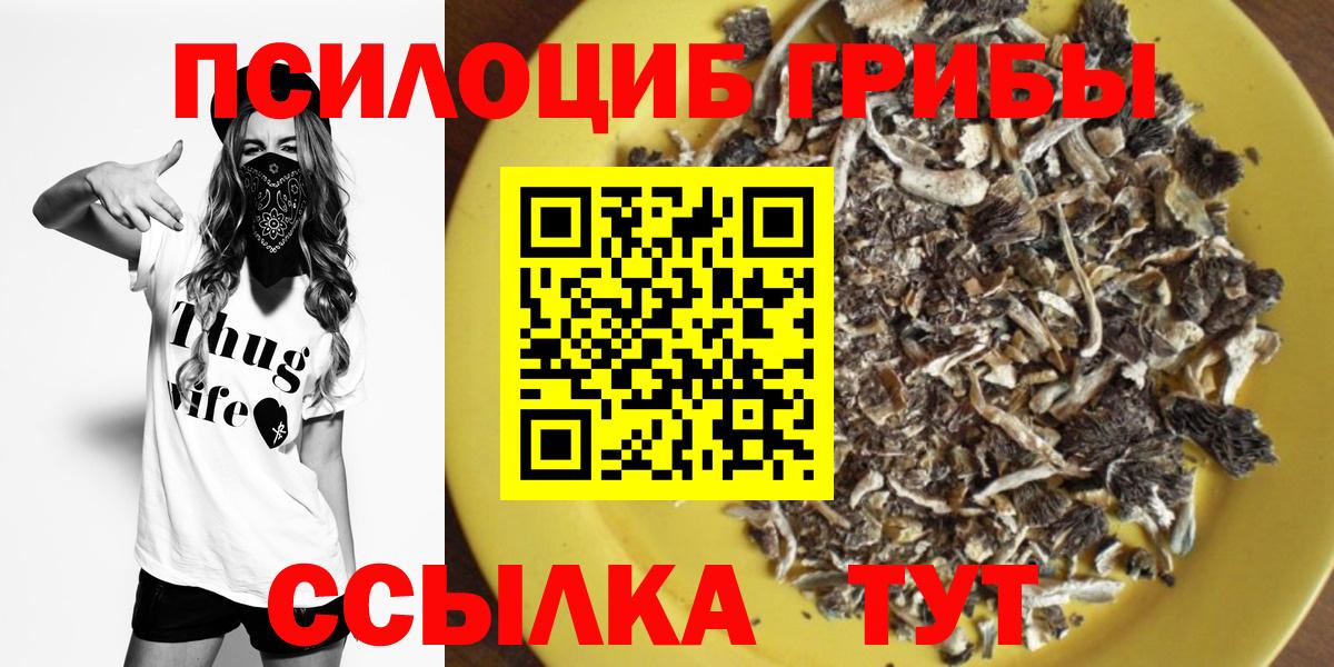 Алейск  Галлюциногенные грибы MAGIC MUSHROOMS  Псилоцибиновые грибы GOLDEN TEACHER  наркотики  Вход с VPN 
