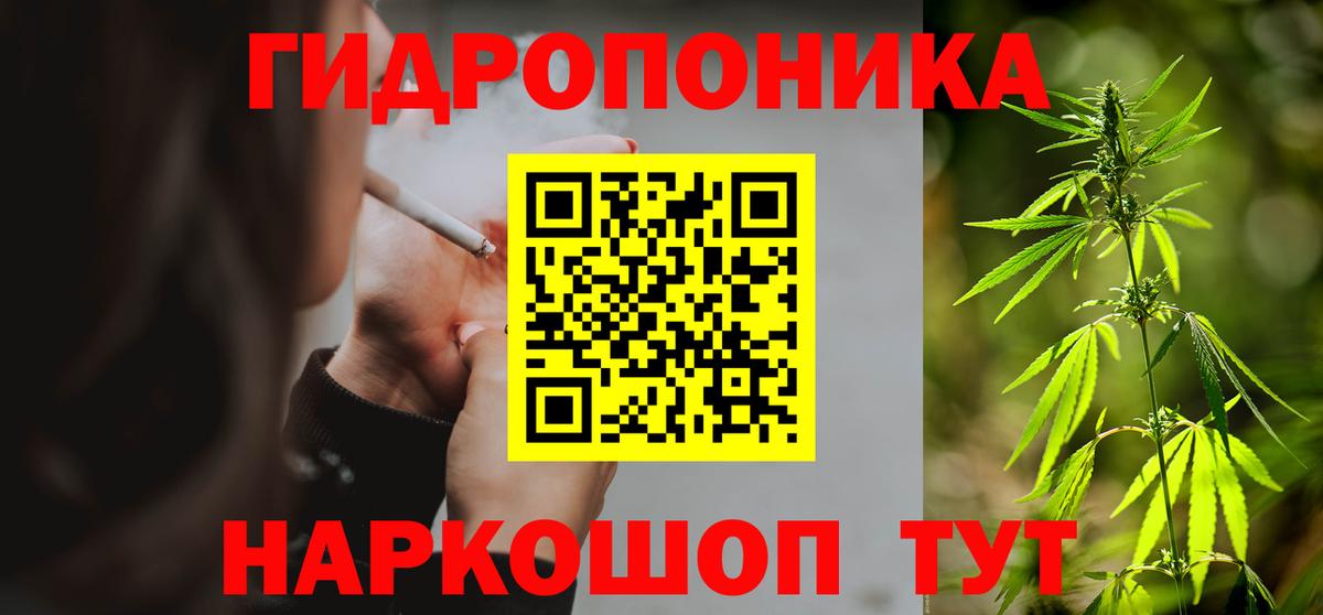 Канабис конопля Алейск
